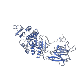 36130_8jan_t_v1-0
In situ structures of the ultra-long extended tail of Myoviridae phage P1