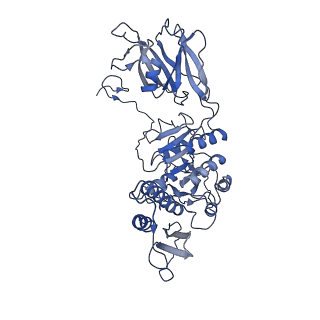 36130_8jan_v_v1-0
In situ structures of the ultra-long extended tail of Myoviridae phage P1
