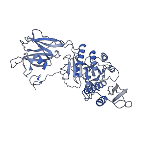 36130_8jan_w_v1-0
In situ structures of the ultra-long extended tail of Myoviridae phage P1