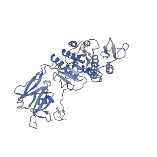 36130_8jan_x_v1-0
In situ structures of the ultra-long extended tail of Myoviridae phage P1