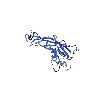 36130_8jan_y_v1-0
In situ structures of the ultra-long extended tail of Myoviridae phage P1