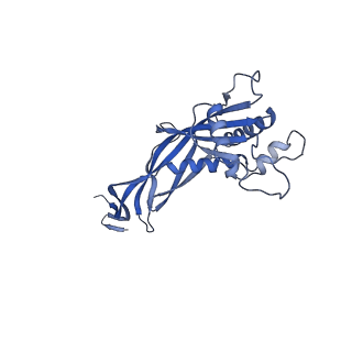 36130_8jan_z_v1-0
In situ structures of the ultra-long extended tail of Myoviridae phage P1