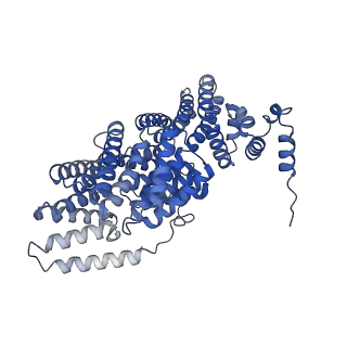 36131_8jaq_B_v1-1
Structure of CRL2APPBP2 bound with RxxGP degron (tetramer)