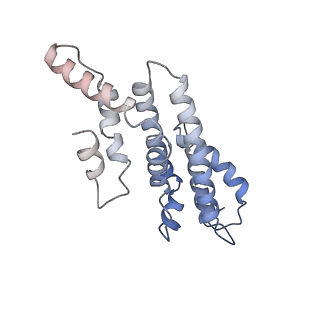 36131_8jaq_E_v1-1
Structure of CRL2APPBP2 bound with RxxGP degron (tetramer)