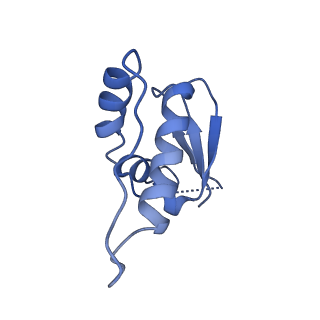 36131_8jaq_H_v1-1
Structure of CRL2APPBP2 bound with RxxGP degron (tetramer)