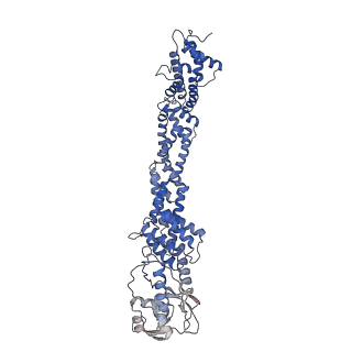 36131_8jaq_I_v1-1
Structure of CRL2APPBP2 bound with RxxGP degron (tetramer)