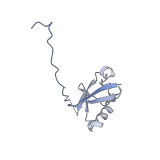 36131_8jaq_M_v1-1
Structure of CRL2APPBP2 bound with RxxGP degron (tetramer)