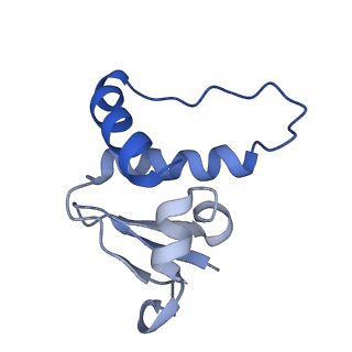 36131_8jaq_N_v1-1
Structure of CRL2APPBP2 bound with RxxGP degron (tetramer)