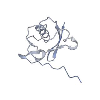36131_8jaq_Q_v1-1
Structure of CRL2APPBP2 bound with RxxGP degron (tetramer)