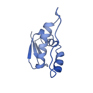 36131_8jaq_T_v1-1
Structure of CRL2APPBP2 bound with RxxGP degron (tetramer)