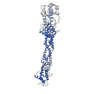36131_8jaq_U_v1-1
Structure of CRL2APPBP2 bound with RxxGP degron (tetramer)