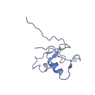 36131_8jaq_V_v1-1
Structure of CRL2APPBP2 bound with RxxGP degron (tetramer)