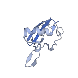 36132_8jar_G_v1-1
Structure of CRL2APPBP2 bound with RxxGPAA degron (dimer)