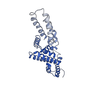 36132_8jar_I_v1-1
Structure of CRL2APPBP2 bound with RxxGPAA degron (dimer)
