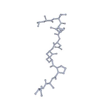 36132_8jar_S_v1-1
Structure of CRL2APPBP2 bound with RxxGPAA degron (dimer)