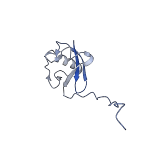 36133_8jas_C_v1-1
Structure of CRL2APPBP2 bound with RxxGPAA degron (tetramer)