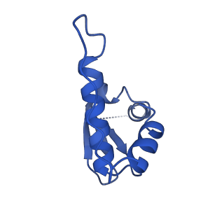 36133_8jas_D_v1-1
Structure of CRL2APPBP2 bound with RxxGPAA degron (tetramer)