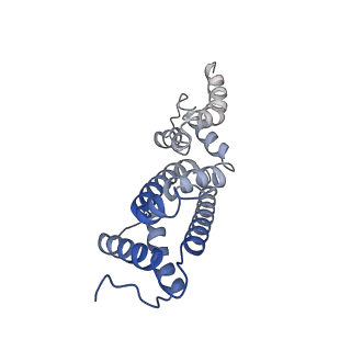 36133_8jas_E_v1-1
Structure of CRL2APPBP2 bound with RxxGPAA degron (tetramer)