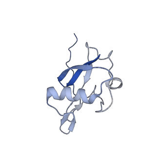 36133_8jas_G_v1-1
Structure of CRL2APPBP2 bound with RxxGPAA degron (tetramer)