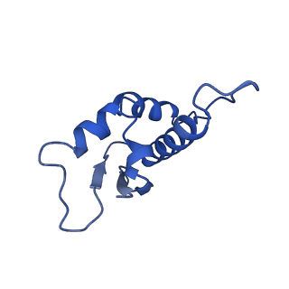 36133_8jas_H_v1-1
Structure of CRL2APPBP2 bound with RxxGPAA degron (tetramer)