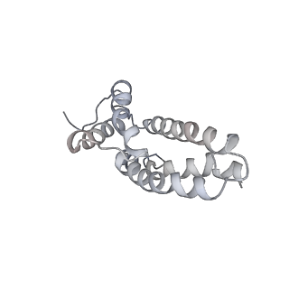 36133_8jas_L_v1-1
Structure of CRL2APPBP2 bound with RxxGPAA degron (tetramer)