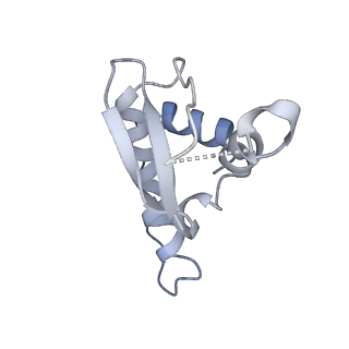 36133_8jas_N_v1-1
Structure of CRL2APPBP2 bound with RxxGPAA degron (tetramer)