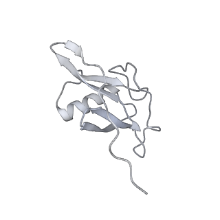 36133_8jas_Q_v1-1
Structure of CRL2APPBP2 bound with RxxGPAA degron (tetramer)
