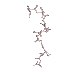 36133_8jas_S_v1-1
Structure of CRL2APPBP2 bound with RxxGPAA degron (tetramer)