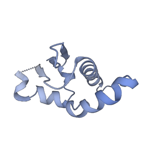 36133_8jas_T_v1-1
Structure of CRL2APPBP2 bound with RxxGPAA degron (tetramer)