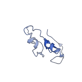36133_8jas_V_v1-1
Structure of CRL2APPBP2 bound with RxxGPAA degron (tetramer)