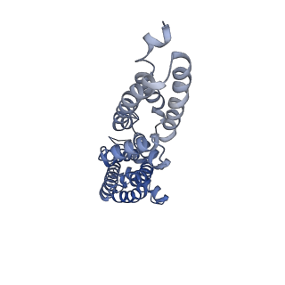 36134_8jau_E_v1-1
Structure of CRL2APPBP2 bound with the C-degron of MRPL28 (dimer)