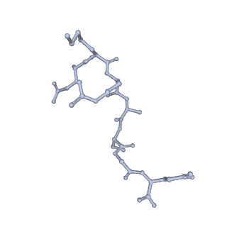 36134_8jau_F_v1-1
Structure of CRL2APPBP2 bound with the C-degron of MRPL28 (dimer)
