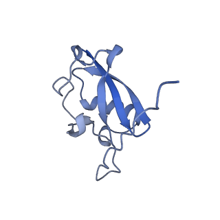 36134_8jau_G_v1-1
Structure of CRL2APPBP2 bound with the C-degron of MRPL28 (dimer)