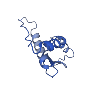 36134_8jau_H_v1-1
Structure of CRL2APPBP2 bound with the C-degron of MRPL28 (dimer)