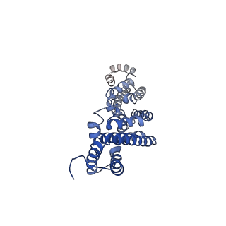 36134_8jau_I_v1-1
Structure of CRL2APPBP2 bound with the C-degron of MRPL28 (dimer)
