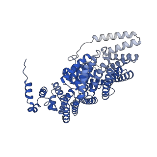 36135_8jav_B_v1-1
Structure of CRL2APPBP2 bound with the C-degron of MRPL28 (tetramer)