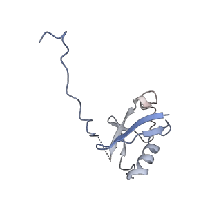 36135_8jav_C_v1-1
Structure of CRL2APPBP2 bound with the C-degron of MRPL28 (tetramer)