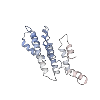 36135_8jav_E_v1-1
Structure of CRL2APPBP2 bound with the C-degron of MRPL28 (tetramer)
