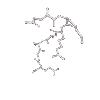 36135_8jav_F_v1-1
Structure of CRL2APPBP2 bound with the C-degron of MRPL28 (tetramer)