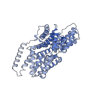 36135_8jav_J_v1-1
Structure of CRL2APPBP2 bound with the C-degron of MRPL28 (tetramer)