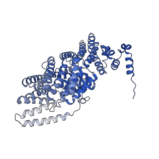 36135_8jav_K_v1-1
Structure of CRL2APPBP2 bound with the C-degron of MRPL28 (tetramer)