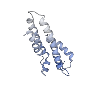 36135_8jav_L_v1-1
Structure of CRL2APPBP2 bound with the C-degron of MRPL28 (tetramer)