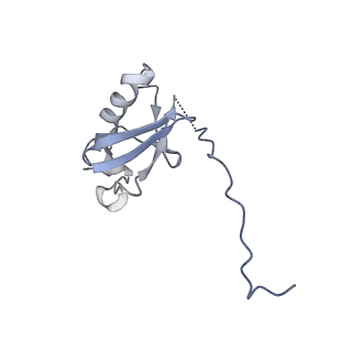 36135_8jav_M_v1-1
Structure of CRL2APPBP2 bound with the C-degron of MRPL28 (tetramer)
