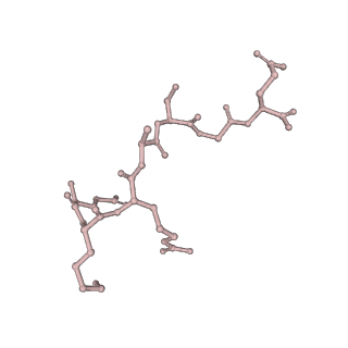 36135_8jav_O_v1-1
Structure of CRL2APPBP2 bound with the C-degron of MRPL28 (tetramer)