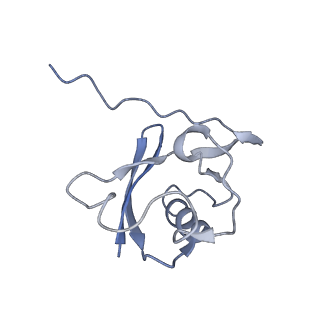 36135_8jav_Q_v1-1
Structure of CRL2APPBP2 bound with the C-degron of MRPL28 (tetramer)