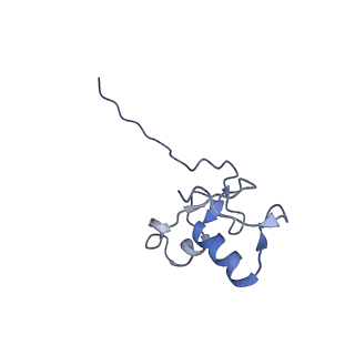 36135_8jav_R_v1-1
Structure of CRL2APPBP2 bound with the C-degron of MRPL28 (tetramer)