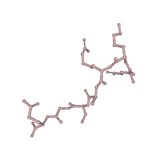 36135_8jav_S_v1-1
Structure of CRL2APPBP2 bound with the C-degron of MRPL28 (tetramer)