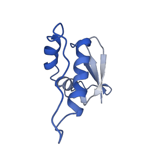 36135_8jav_T_v1-1
Structure of CRL2APPBP2 bound with the C-degron of MRPL28 (tetramer)