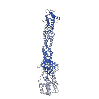 36135_8jav_U_v1-1
Structure of CRL2APPBP2 bound with the C-degron of MRPL28 (tetramer)