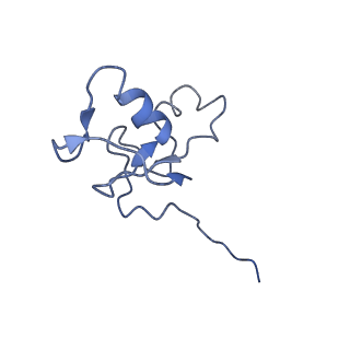 36135_8jav_V_v1-1
Structure of CRL2APPBP2 bound with the C-degron of MRPL28 (tetramer)